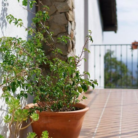 Casas Arbillas Arenas de San Pedro Dış mekan fotoğraf