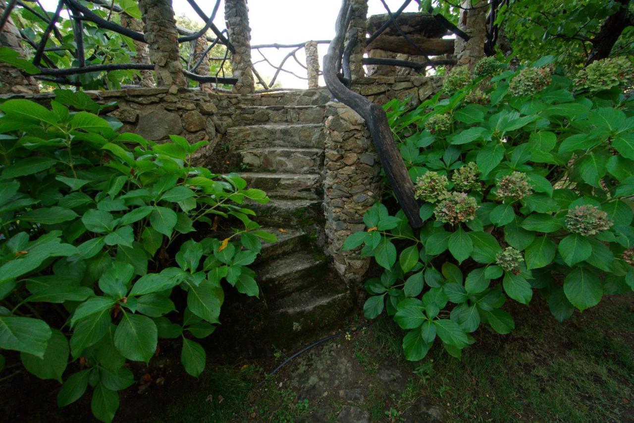 Casas Arbillas Arenas de San Pedro Dış mekan fotoğraf