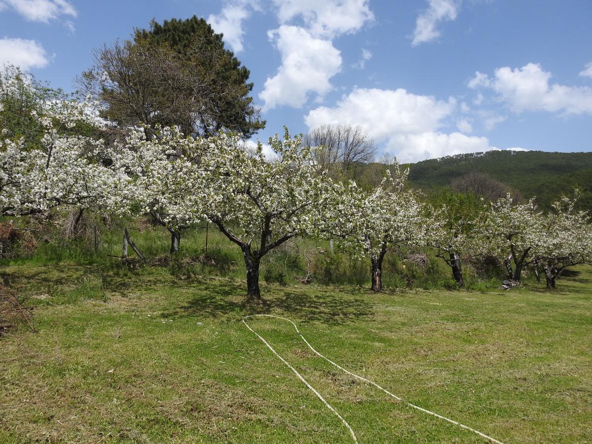Casas Arbillas Arenas de San Pedro Dış mekan fotoğraf