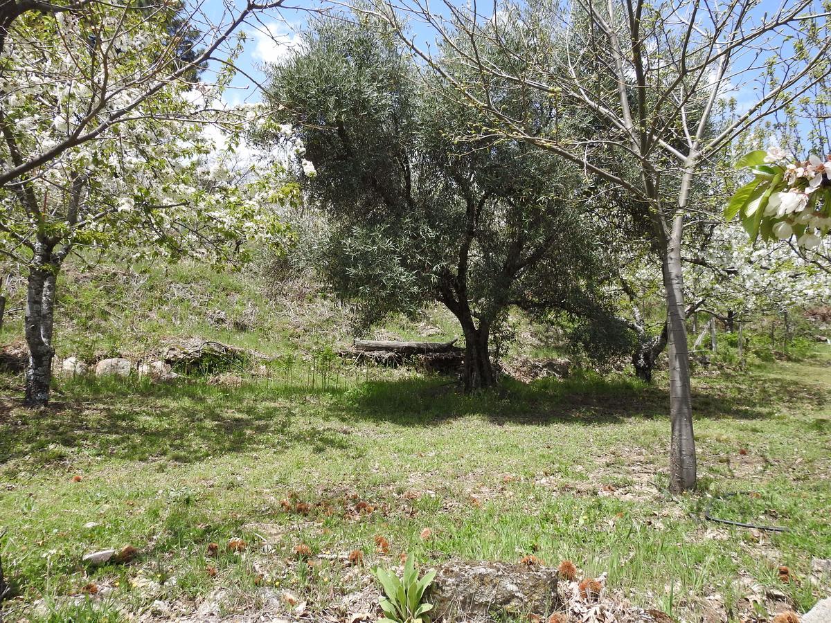 Casas Arbillas Arenas de San Pedro Dış mekan fotoğraf
