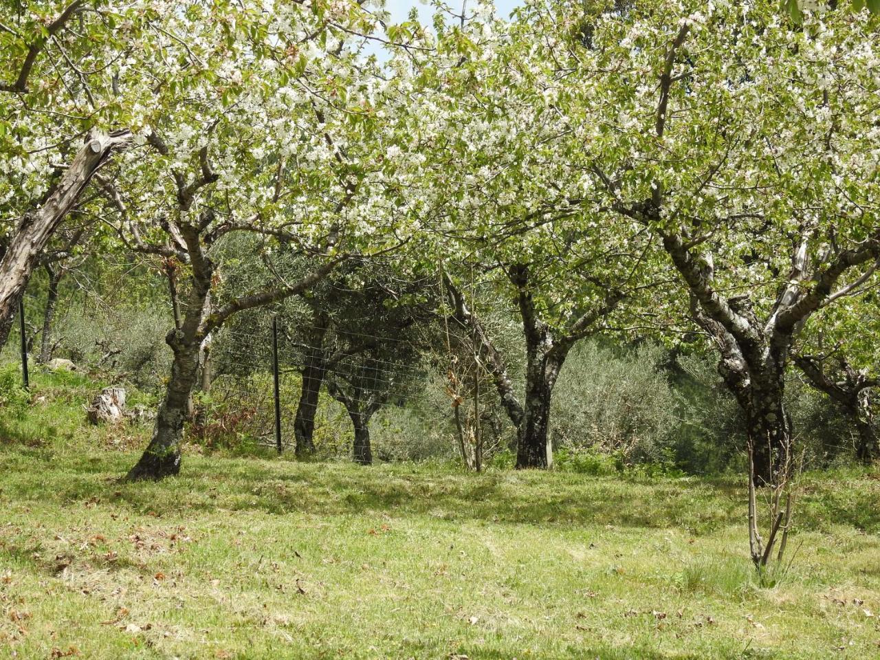 Casas Arbillas Arenas de San Pedro Dış mekan fotoğraf